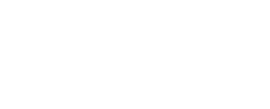 ChromeOS logo