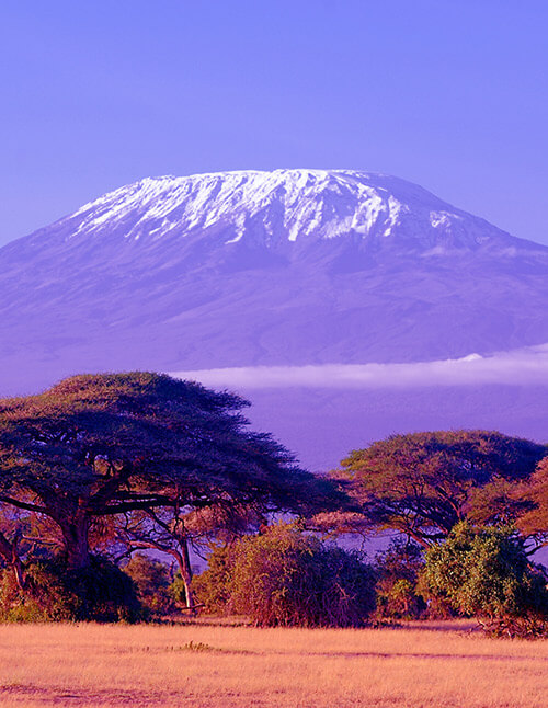 View of Mount Kilimanjaro
