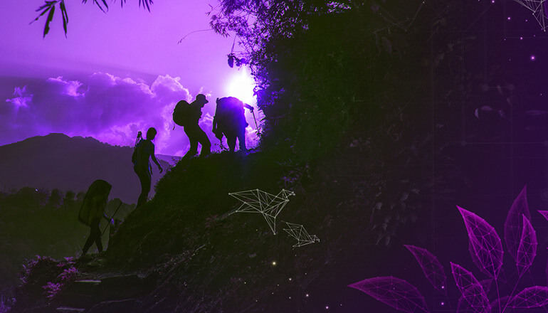 Article IT’s a Jungle Out There: An IT ‘Porter’ Can Help You Through the Journey Image