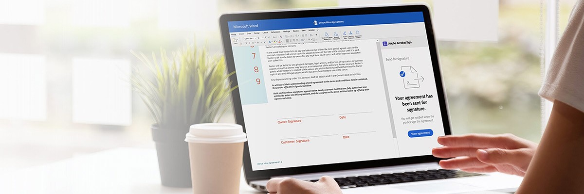 User using computer device with Adobe Acrobat Pro and Microsoft 365 Apps