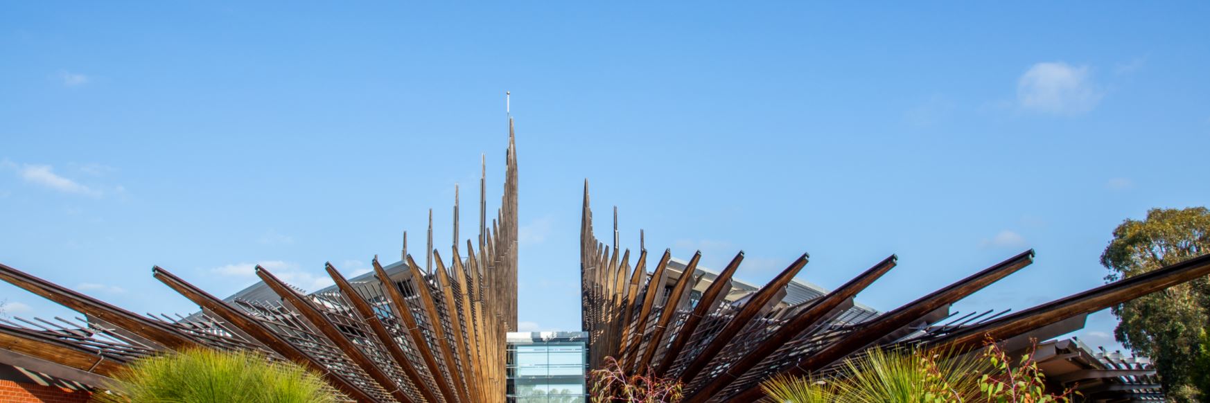 A group of students studying