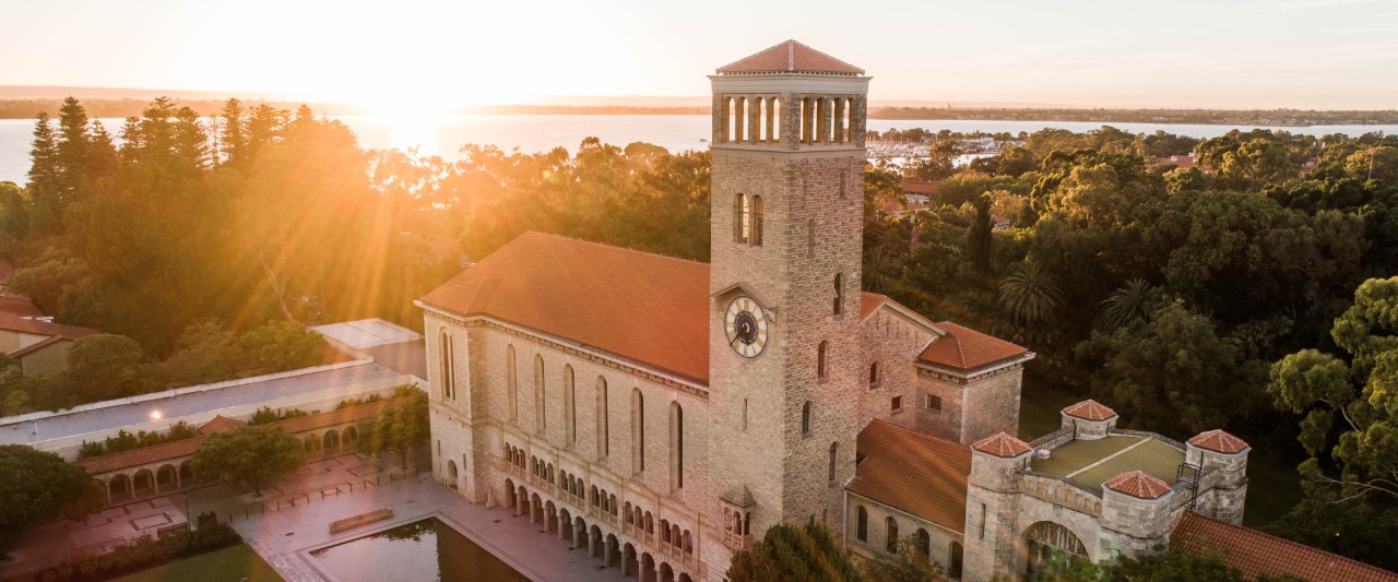 A group of students studying