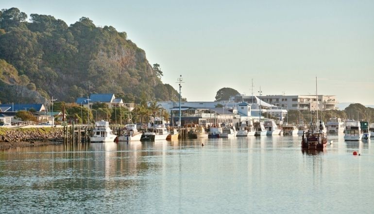 Microsoft 365 for business to help teams achieve success Group of professionals working in meeting